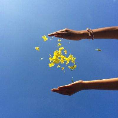 乐鱼APP下载手机版